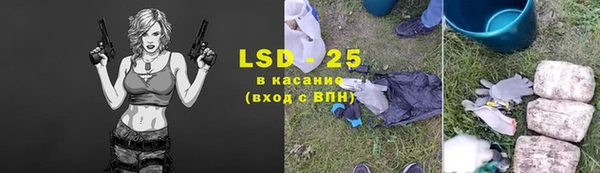 мдпв Богородск