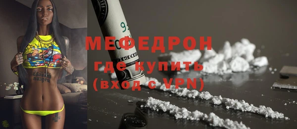 мдпв Богородск