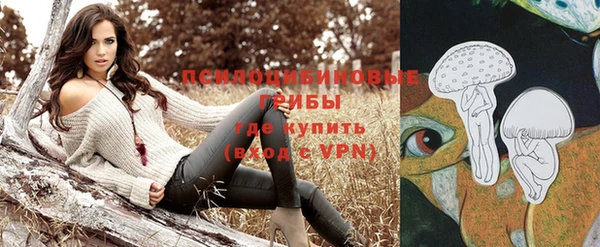 первитин Богородицк
