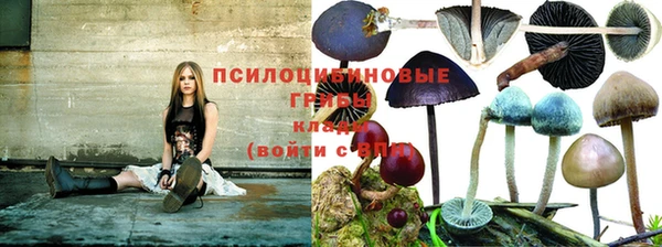 СК Богданович