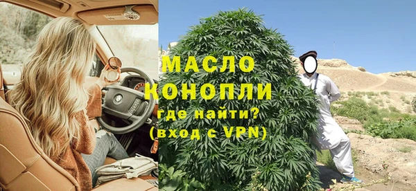 мдпв Богородск