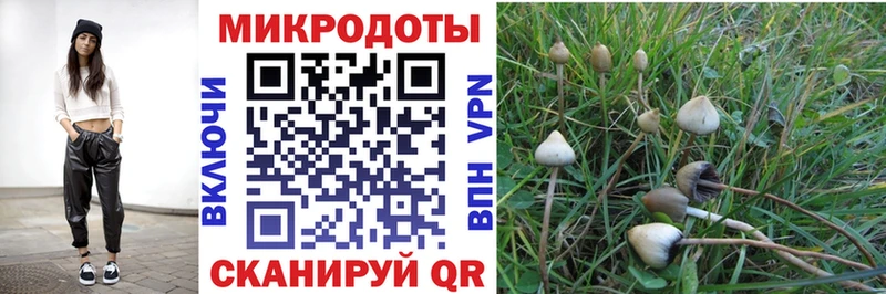 маркетплейс какой сайт  Нариманов  Галлюциногенные грибы Psilocybine cubensis 